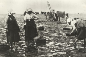 Southport’s History of Shrimping has caught the BBC’s attention.