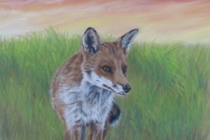 Anita Young –Drawing Inspiration From The Fox