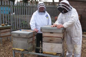 Beekeepers at work
