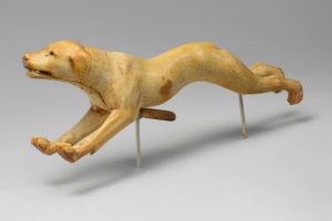 Dogs in Ancient Egypt: Man's Best Friend.