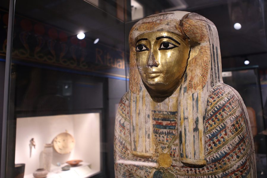 Discover Ancient Egypt: Museum Tour