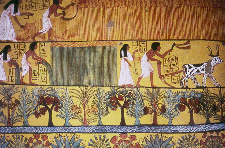 The Egyptians and Bees