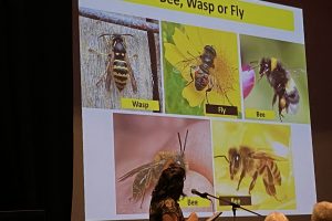 Meet Our Beekeeper Talk Customer Feedback