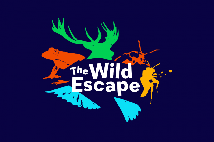 The Wild Escape: Craft Workshop