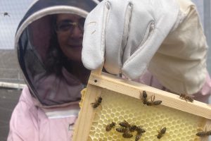 Celebrating World Bee Day – With Lisa